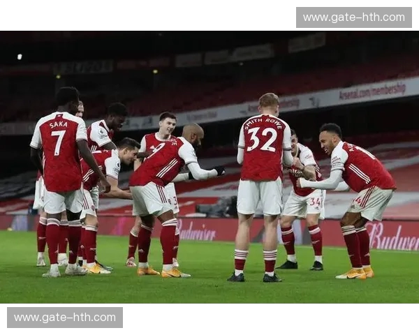 绿茵激战：诺维奇的坚韧与阿森纳的荣耀，一场足球的诗篇